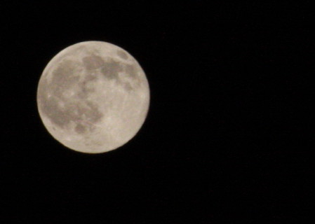 b0129008_1040445.jpg