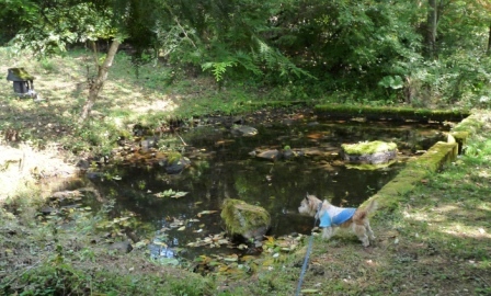 e0078510_18505245.jpg