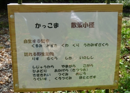 e0078510_19371320.jpg