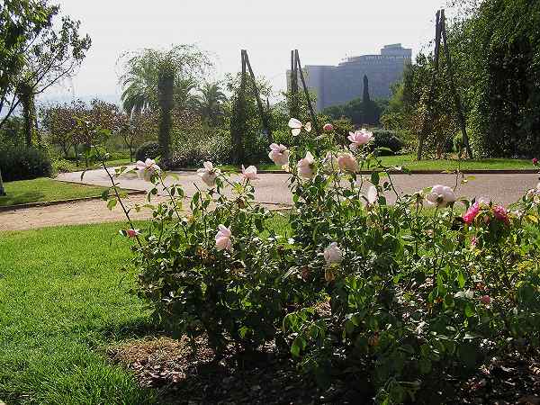 b0064411_694029.jpg