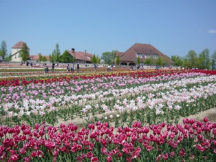 c0035012_2215995.jpg