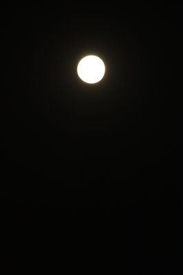 d0072318_7222127.jpg