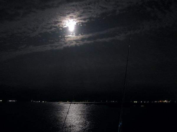 b0186119_2071878.jpg