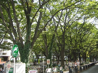 e0170519_044126.jpg
