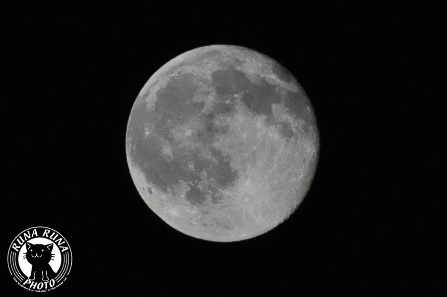 b0118920_20483870.jpg