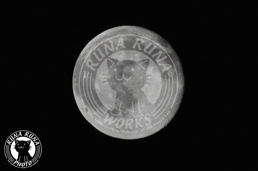 b0118920_2214296.jpg