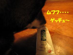 f0143123_2021610.jpg