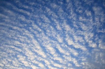 b0056924_1241333.jpg