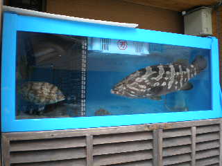 c0095424_15285492.jpg