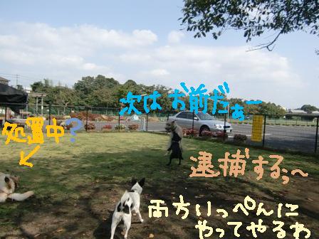 f0176830_21221369.jpg