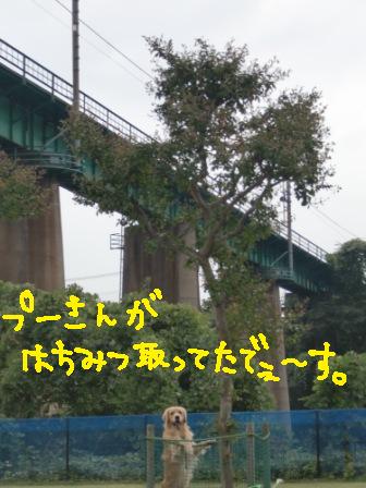 f0176830_2136439.jpg