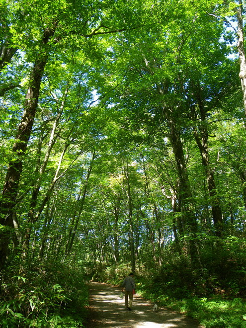 c0035931_2131438.jpg