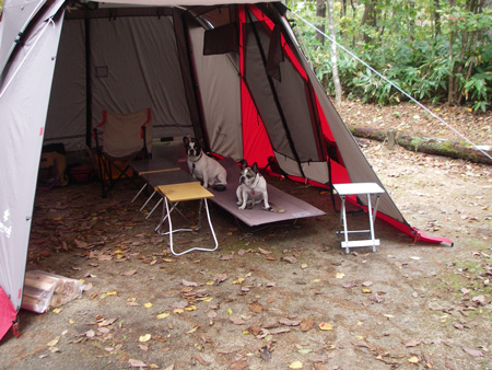 e0008833_11121174.jpg