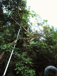 c0134734_23481555.jpg