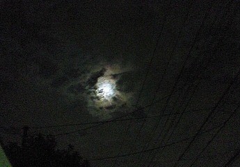 f0161834_13501952.jpg
