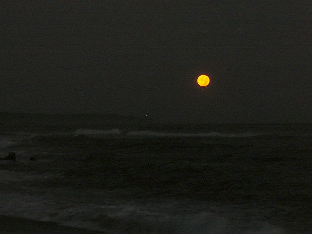 c0194535_16434459.jpg