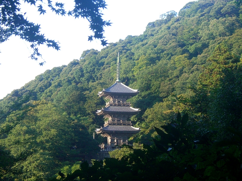 b0029438_0491660.jpg