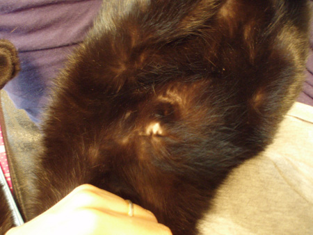 c0132438_2237562.jpg