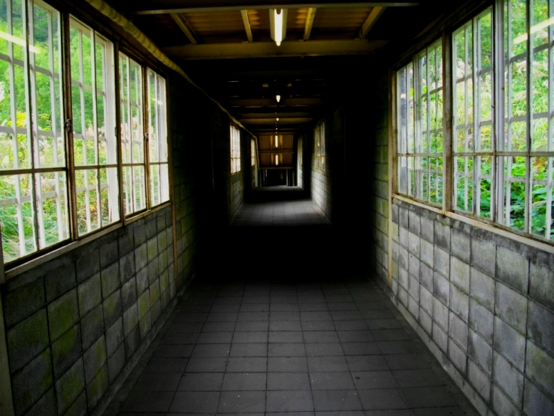 c0101739_19503452.jpg