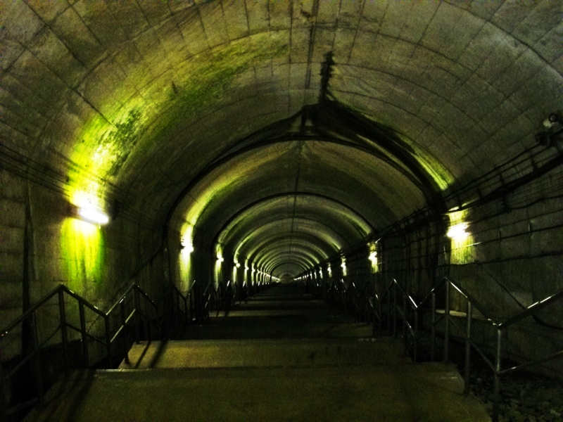 c0101739_19535274.jpg