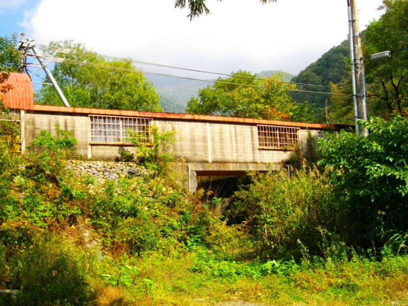 c0101739_20225521.jpg