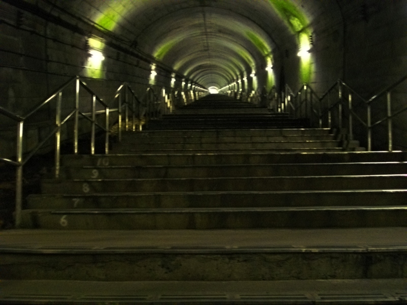 c0101739_2022680.jpg