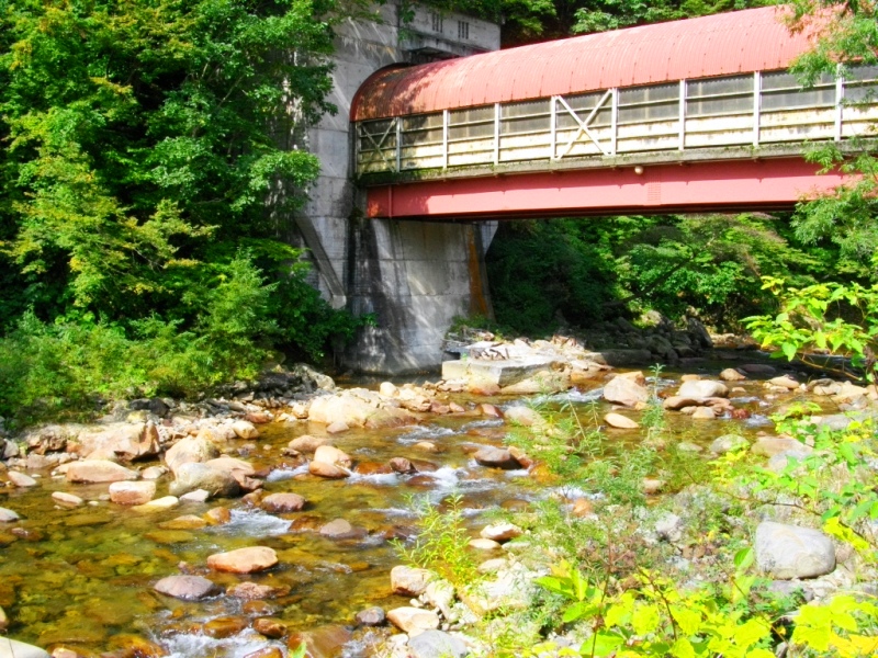 c0101739_2023781.jpg