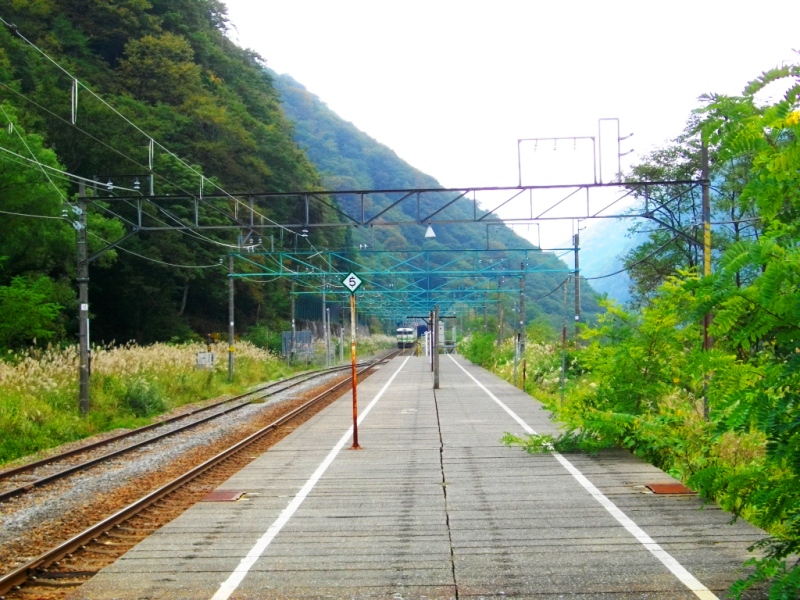 c0101739_20265369.jpg
