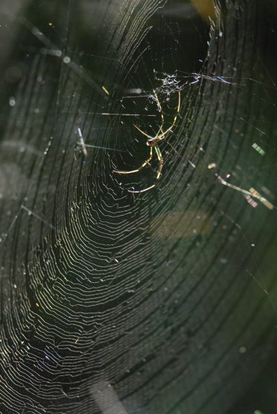 c0172139_2285188.jpg