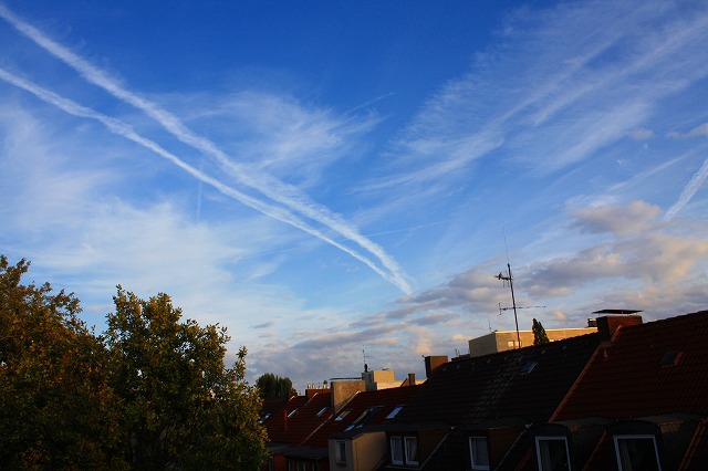 c0153740_655549.jpg