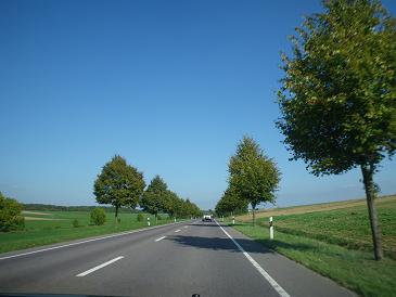 c0194240_452653.jpg