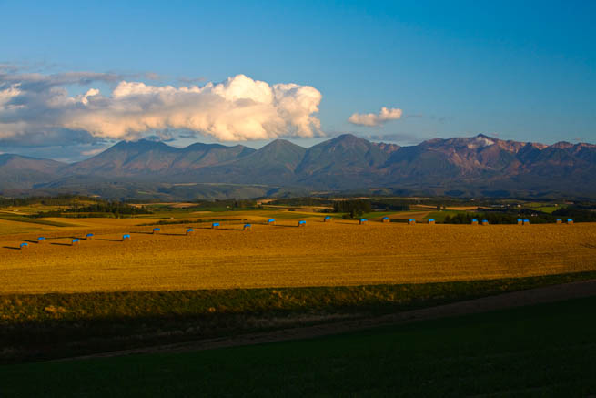 f0104847_23115081.jpg