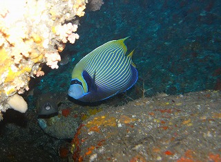 d0076952_17404269.jpg