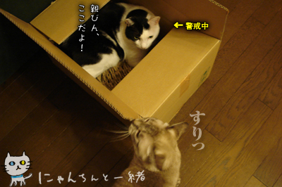 e0031853_19444159.jpg