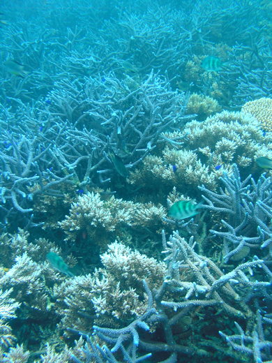 b0062363_21115266.jpg