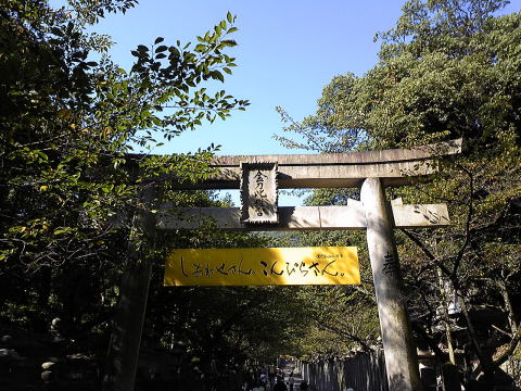 f0019063_201611.jpg