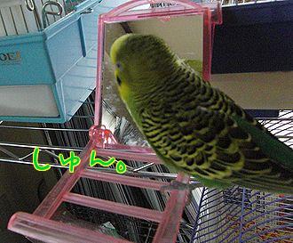 f0196665_012258.jpg