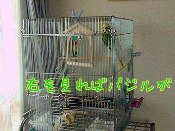 f0196665_0181740.jpg
