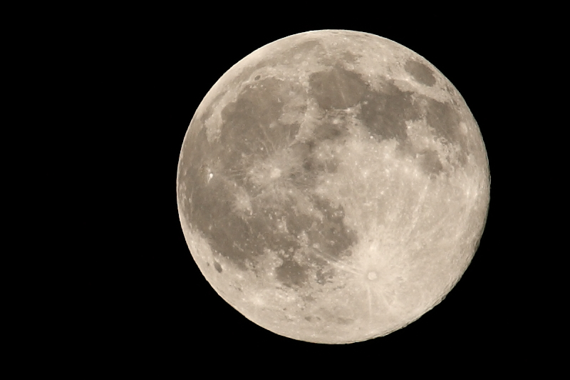 b0027267_6533059.jpg