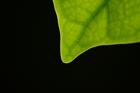 e0045768_2212651.jpg