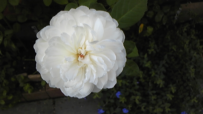 c0202870_10154374.jpg