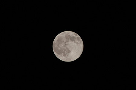 c0104371_1101052.jpg
