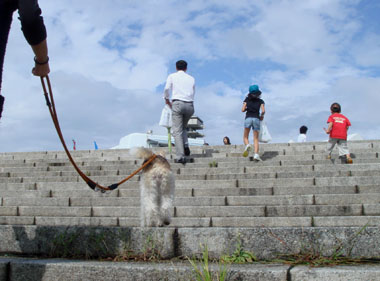 b0091373_015024.jpg