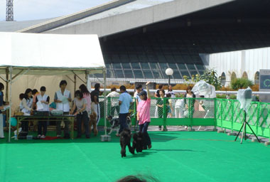 b0091373_015688.jpg