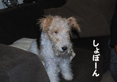b0091373_0174037.jpg