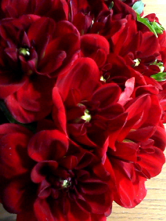 f0140174_21104799.jpg