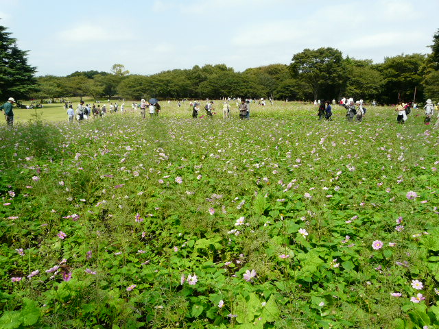 e0145782_19222164.jpg