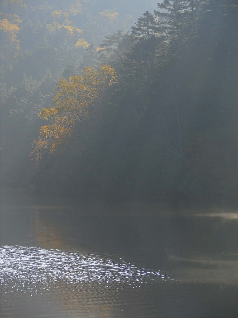 b0011185_23155992.jpg