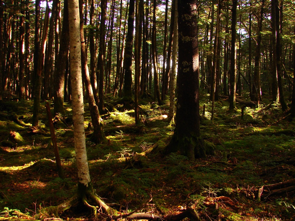 b0011185_2317949.jpg