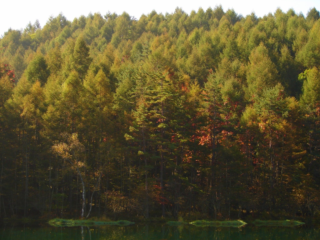 b0011185_23195249.jpg